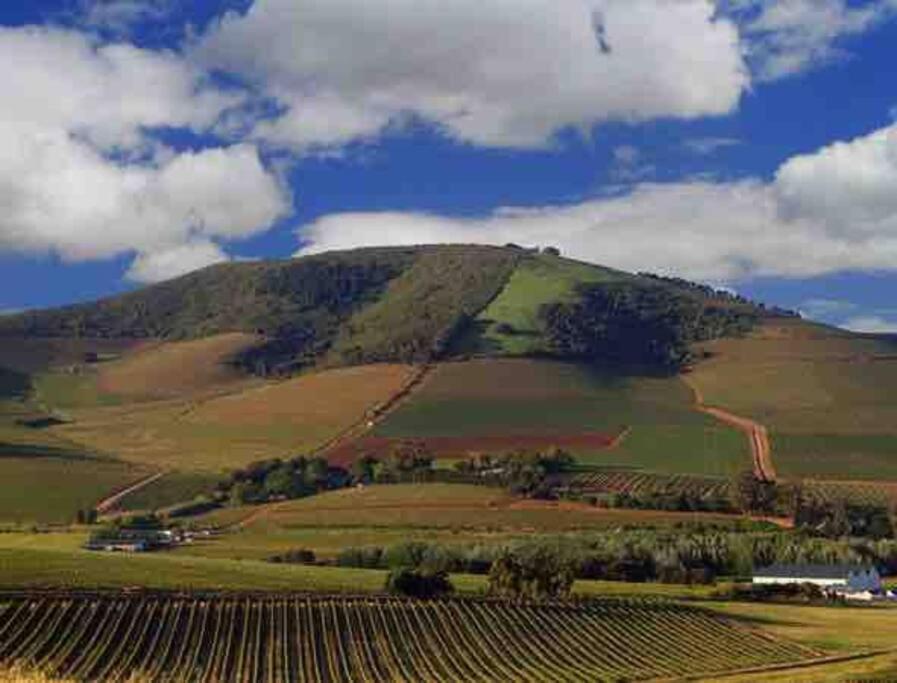 Open Living Family In The Winelands *