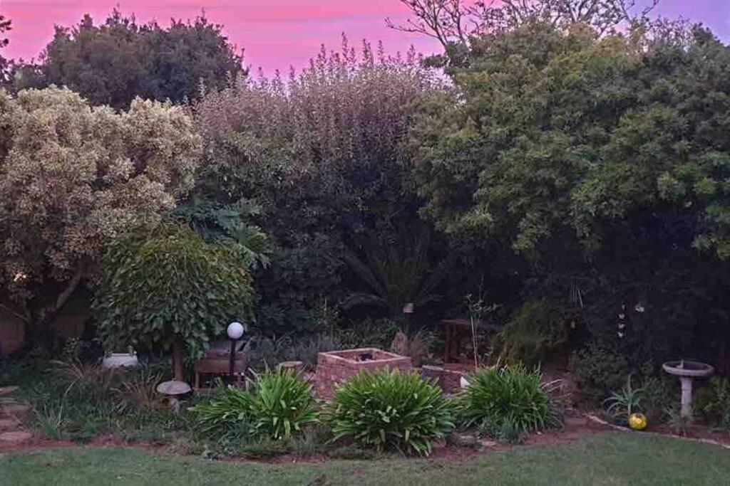 Open Living Family In The Winelands *