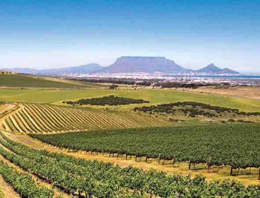 Holiday home Open Living Family In The Winelands