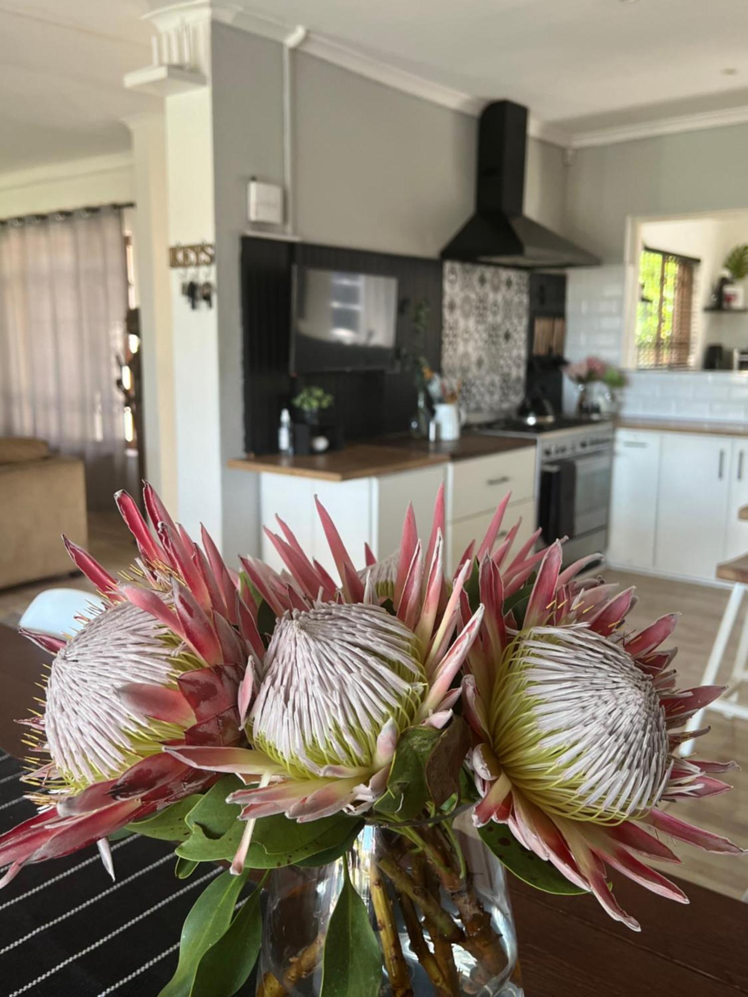 Open Living Family In The Winelands Cape Town